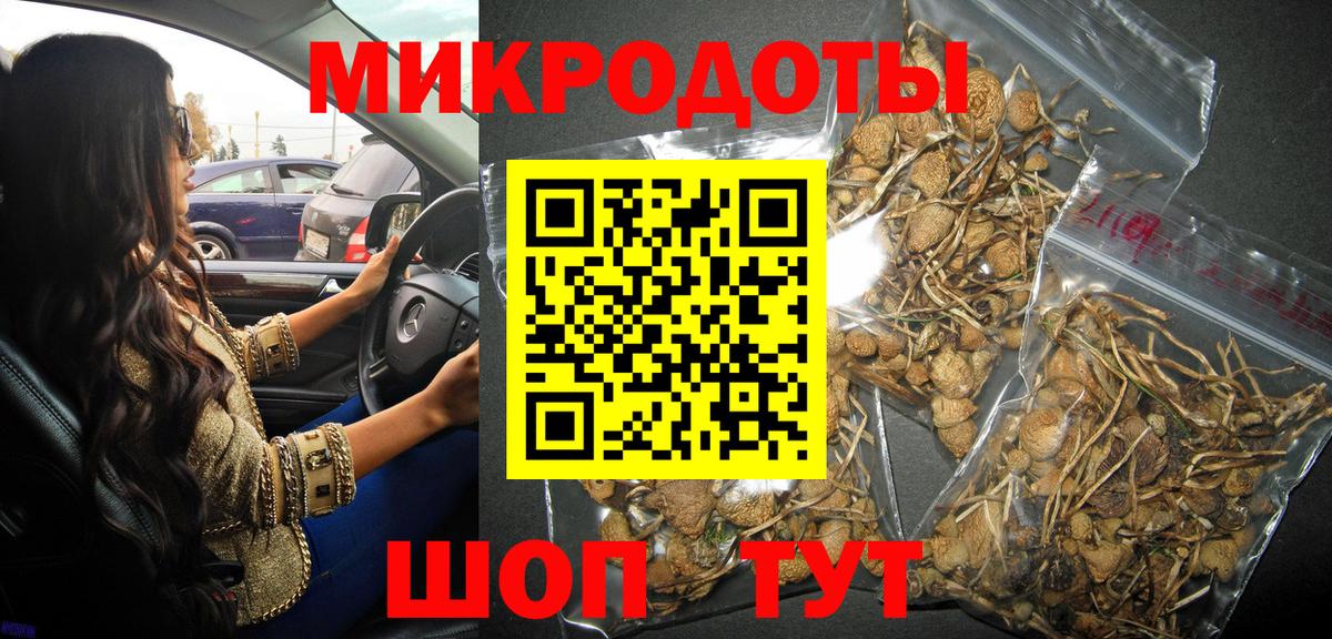 Галлюциногенные грибы мухоморы Воскресенск