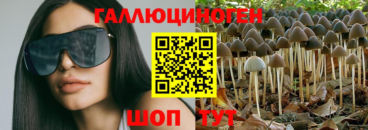 Псилоцибиновые грибы GOLDEN TEACHER  Вход с VPN  Воскресенск 